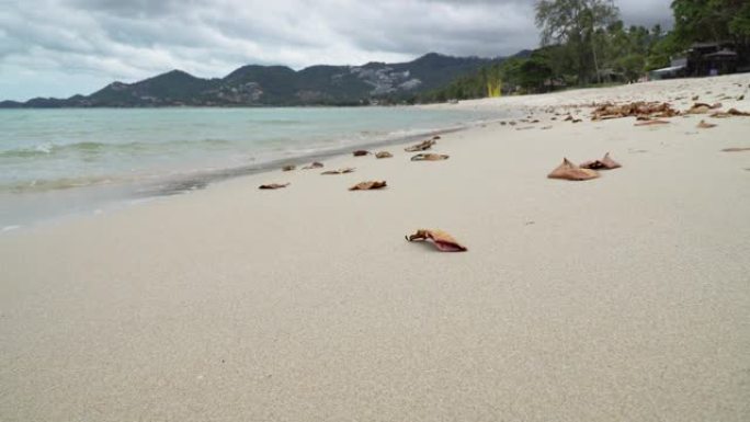 泰国苏梅岛查翁海滩的白沙。在Covid没有游客之后