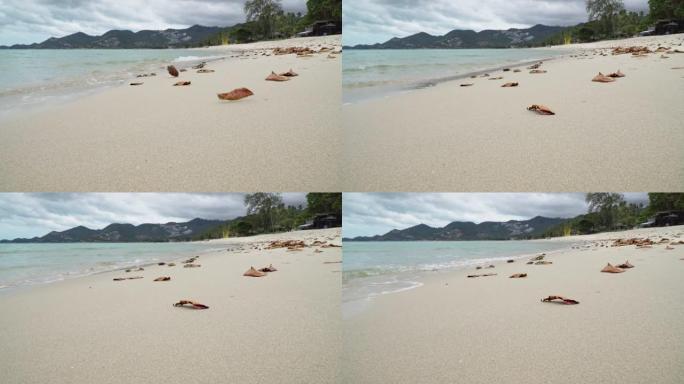 泰国苏梅岛查翁海滩的白沙。在Covid没有游客之后