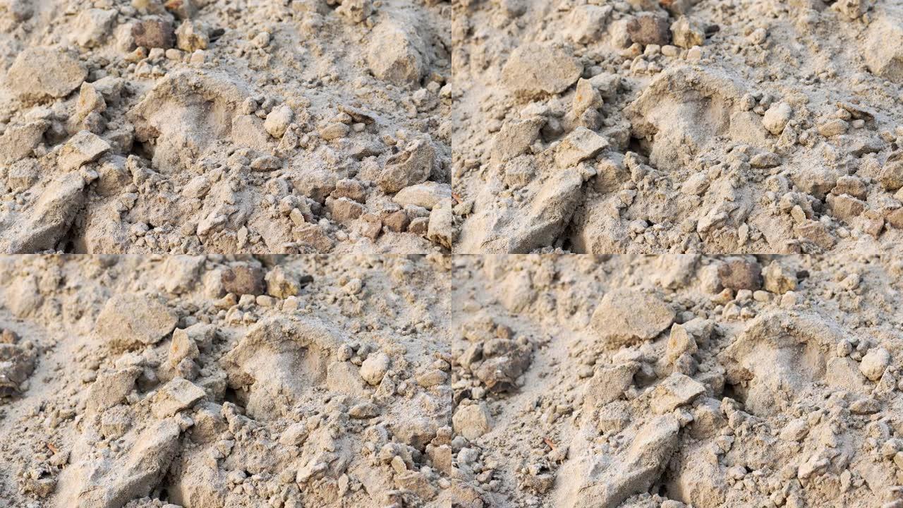 沙堆的沙质。