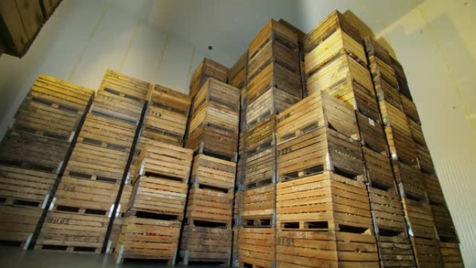 苹果存储。仓库。一堆堆装水果的木箱，冷藏仓库里装着苹果的箱子。巨大的不透气储存冰箱摄像头。苹果丰收
