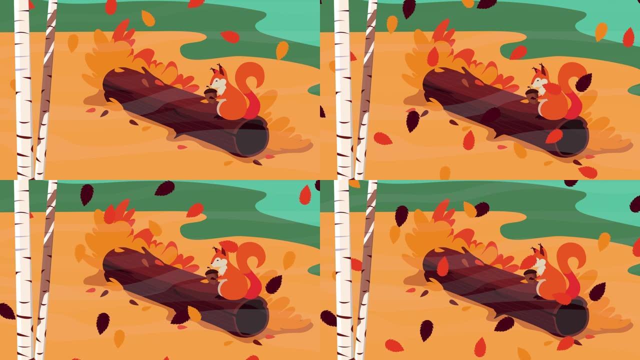 你好秋季动画与松鼠和坚果在树干森林场景