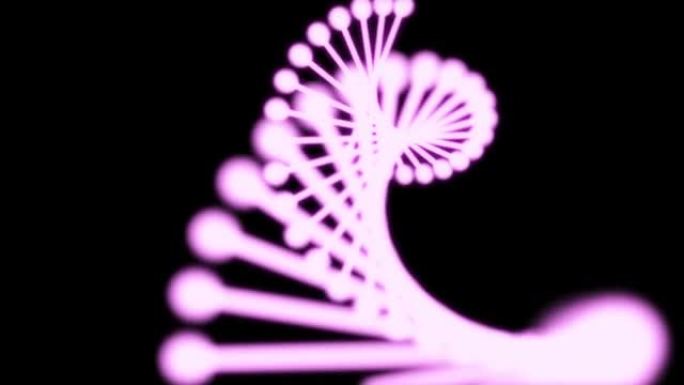 由黑色背景上的粒子组成的发光DNA的2D动画。60FPS。对象在屏幕中心旋转。