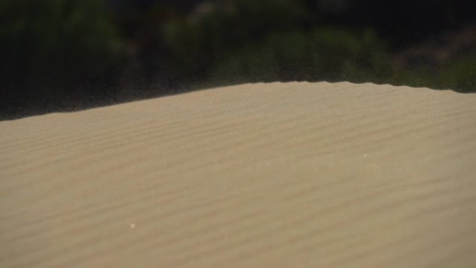 沙丘顶部的沙尘暴。安达卢西亚博洛尼亚