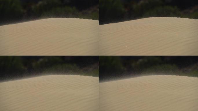 沙丘顶部的沙尘暴。安达卢西亚博洛尼亚