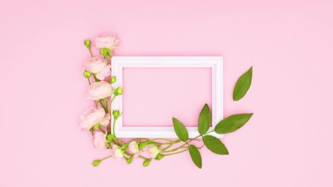 绿叶落在浪漫的玫瑰装饰上，白色框架为粉红色主题的文字。停止运动
