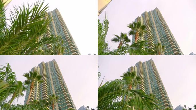 4k慢动作60fps现代建筑前棕榈树的绿叶