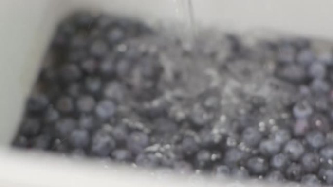 商用厨房-加工蓝莓
