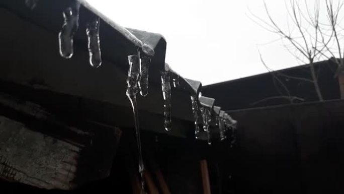 屋顶上挂着融化的冰柱。冬季融化。水滴从屋顶上掉下来。