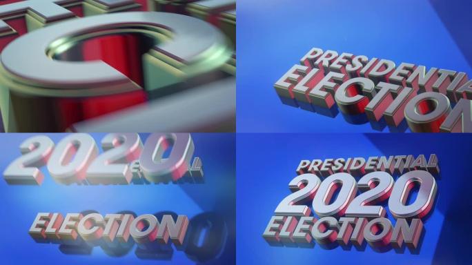 3D美国2020年总统选举运动图形