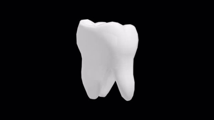 旋转孤立3D牙齿的美白治疗过程概念。包括透明阿尔法通道编辑。4k三维动画。