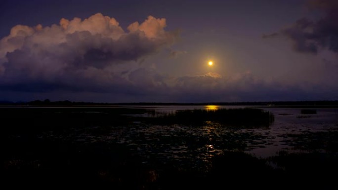 斯里兰卡南部沿海湿地上的月亮升起