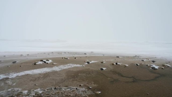 海边的暴风雪。