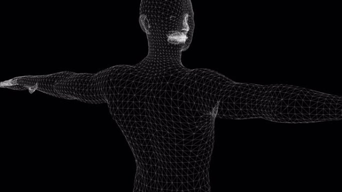 人体三维解剖，在孤立的透明阿尔法通道背景上旋转人体图。4k医疗运动动画。