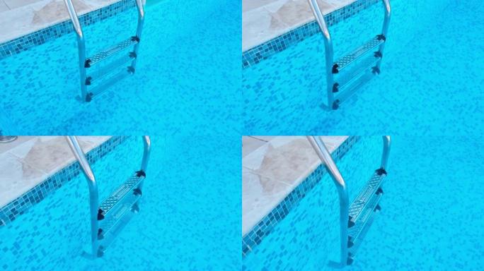 带钢梯的浅蓝色游泳池景观