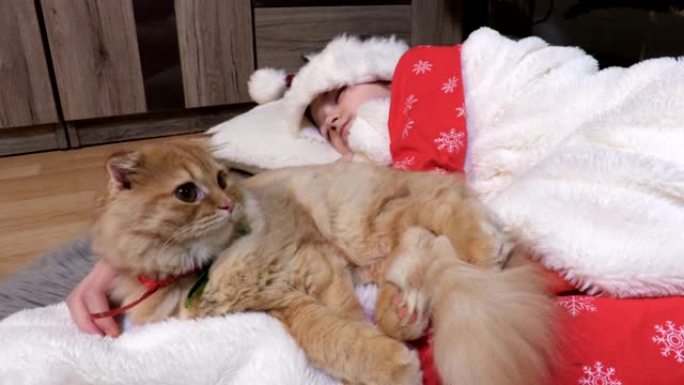 圣诞节前夕，穿着圣诞睡衣的小女孩和猫在树附近睡着了