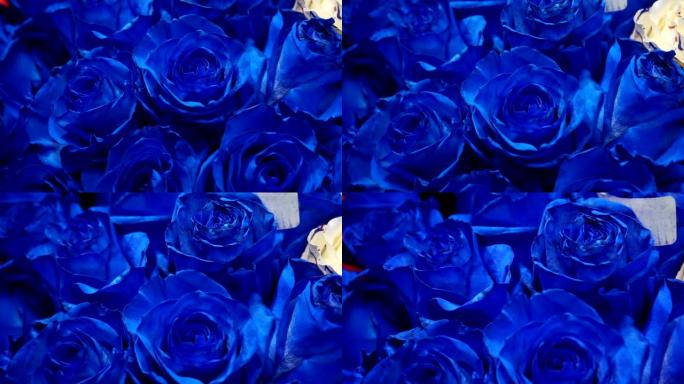 美丽的蓝色玫瑰花束特写。花卉节日背景