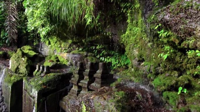 丛林中有苔藓的尖锐岩石和落在石头上的水滴