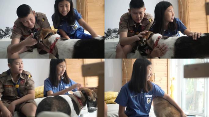 亚洲童子军和他的妹妹穿着校服在早上上学前与狗玩耍。