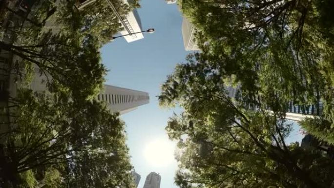 开车穿过城市的摩天大楼。仰望摩天大楼和绿树的景色。