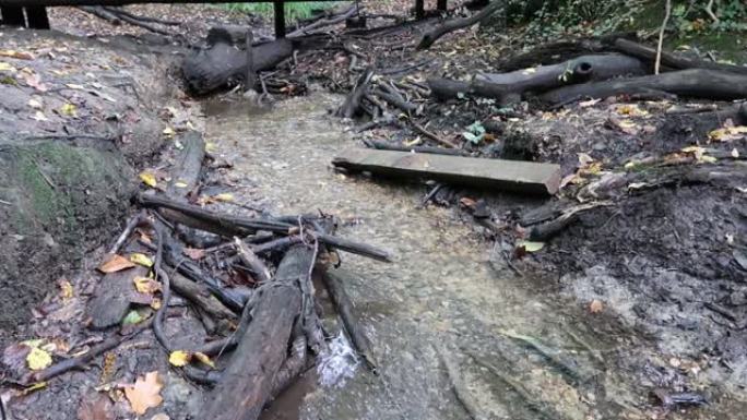 在森林砍伐中，用洪水碎屑移动淡水流。古代诺西伍德的秋日