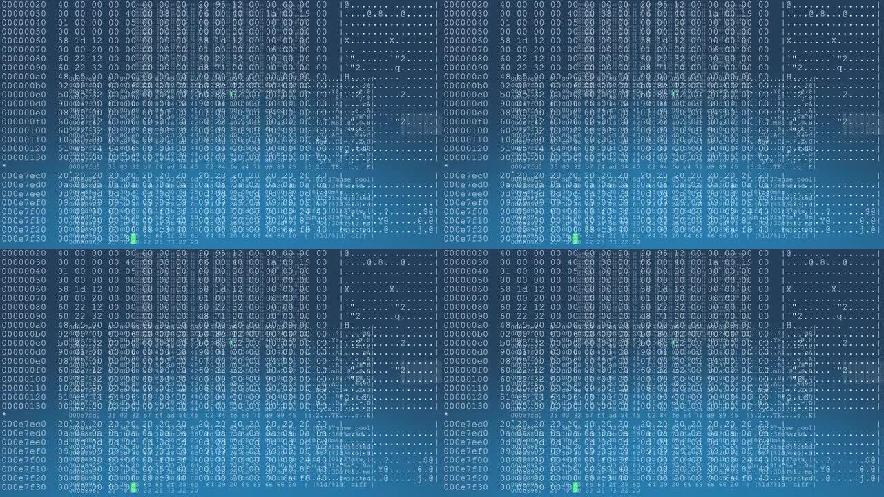 在蓝色渐变背景下，多行计算机代码在屏幕上实时重复-无缝循环