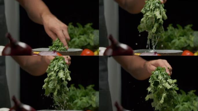 专业厨师洗香菜叶。慢动作