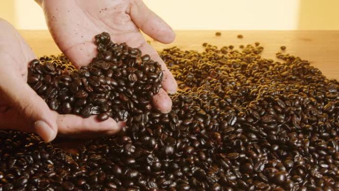 手握咖啡豆并测试质量