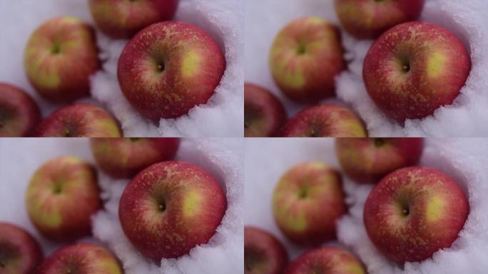 冬雪中模糊的红富士苹果，特写镜头。