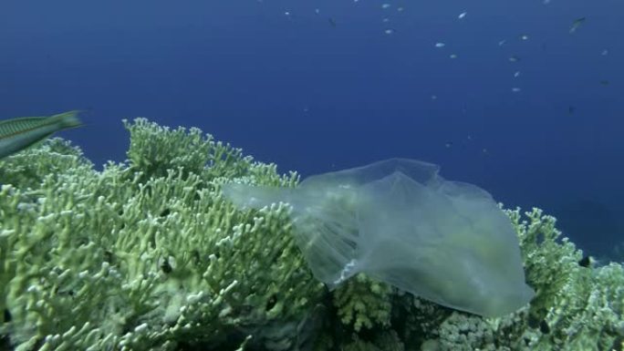 慢动作，塑料袋漂浮在美丽的珊瑚礁上方，紧贴着他被海浪拾起并进一步漂浮，热带鱼群在附近游动，背景为蓝色