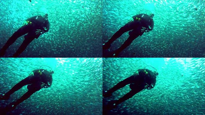 水肺潜水员向上漂浮成鱼龙卷风