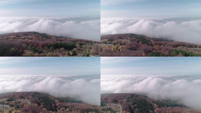 秋天的鸟瞰图。自然和云景。周围的雾和雾在景观中创造了简单。