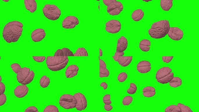 粉色人脑落雨天才智能绿屏3d动画色键