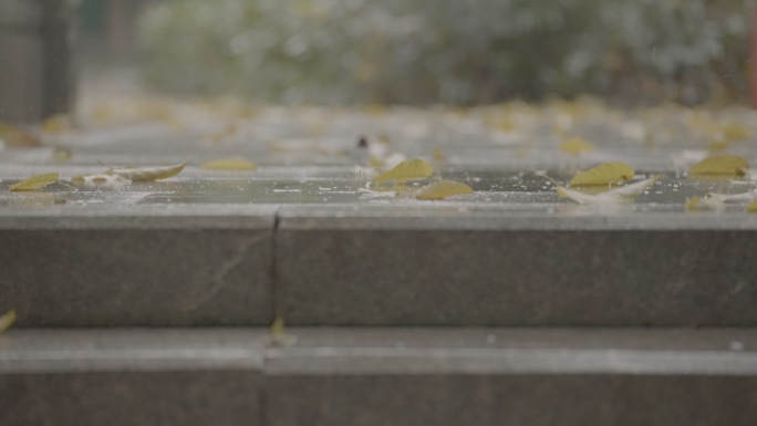 春雨 下雨视频下雨下雨下雨下雨下雨下雨雨