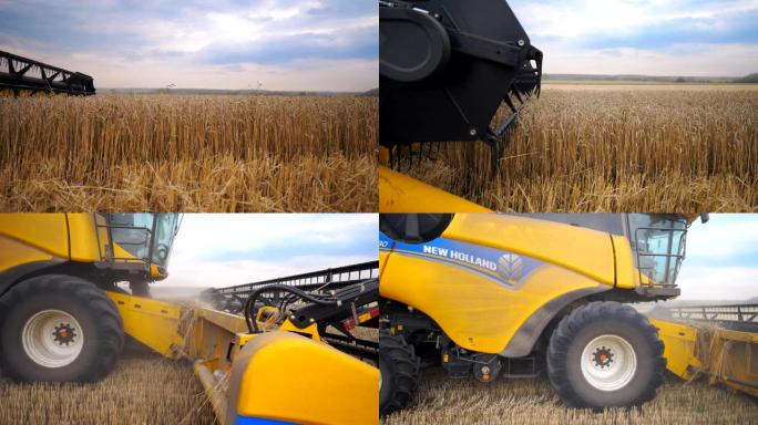 农村大麦谷物联合切割秸秆的侧视图。收割机在傍晚时分缓慢穿越田间收割成熟小麦的作物。收获的概念。慢动作