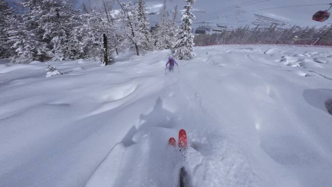 高速野雪粉雪跟拍4K