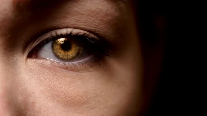 移动的女性浅棕色眼睛瞳孔。睁开眼睛，脸特写。