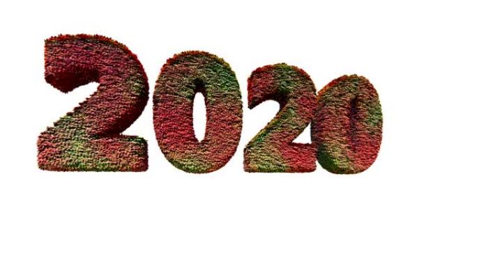 2020新年文字由风吹的叶子制成，平移白色