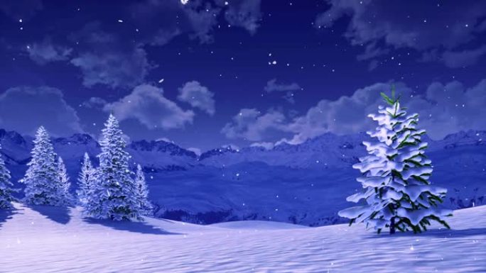 在平静的冬夜降雪的杉树