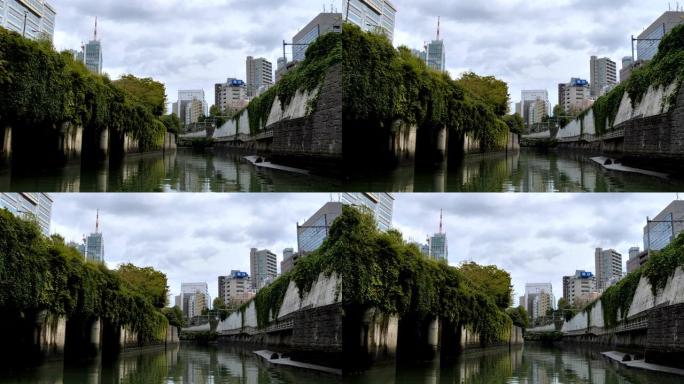 日本东京运河墙上的绿藤草