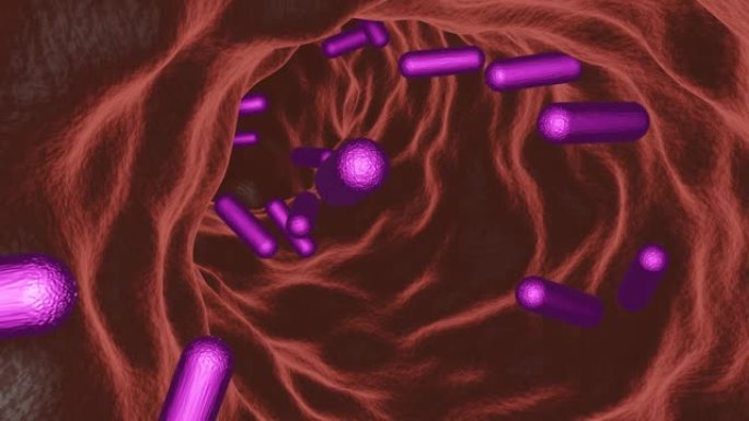 肠道细菌图像CG