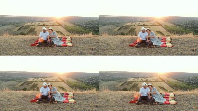 日落夏季野餐中的老年夫妇
