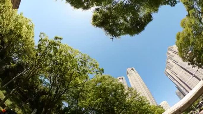 开车穿过城市的摩天大楼。仰望摩天大楼和绿树的景色。