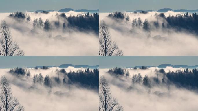 冬天的景象，冰雪覆盖的景观和雾倾泻村庄