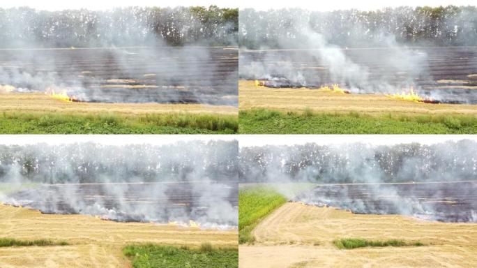 田间失火，收获小麦后在大片土地上燃烧干秸秆，环境污染。