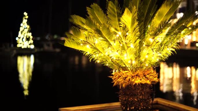 花盆中装饰棕榈树，用花环装饰。夜间圣诞节假期的街头城装饰。
