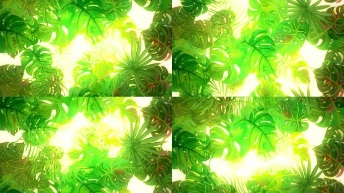 手绘水彩热带棕榈叶的抽象背景。无缝循环4k镜头。
