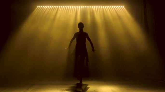 专业芭蕾舞演员在舞台上的聚光灯和烟雾中跳舞芭蕾舞。美丽苗条身材的剪影