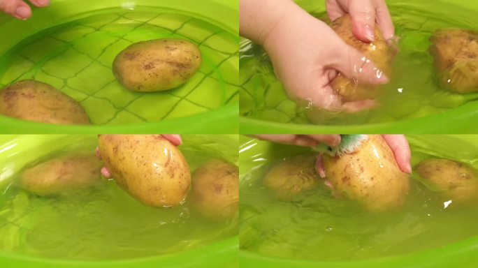 刷洗马铃薯土豆 (1)