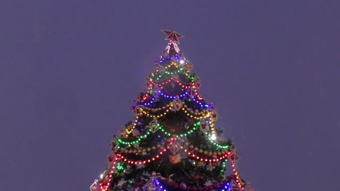 圣诞树上的五彩灯