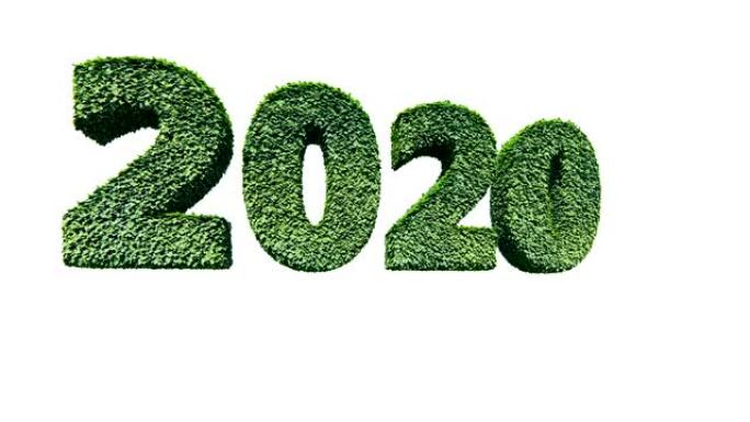 2020新年文本由绿叶吹风，平移白色